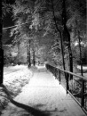 Софія Стрипа фотография #3 (источник - https://vk.com/id116853431)