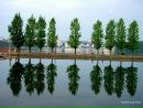 Софія Мотика фотография #11 (источник - https://vk.com/id203562935)