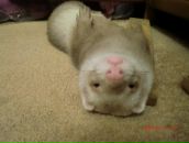 Фотография Морозов Сергей