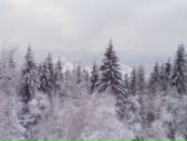 Славік Осташук фотография #34 (источник - https://vk.com/id22375558)