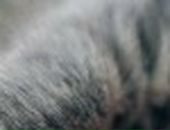 Анастасия Солдатова фотография #25 (источник - https://vk.com/id10623)