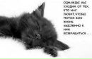 Віта Погранична фотография #40 (источник - https://vk.com/id158548355)