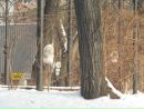 Денис Корінь фотография #41 (источник - https://vk.com/id127310838)