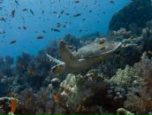 Роман Петрухин фотография #20 (источник - https://vk.com/id4458535)