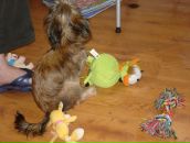 Иван Андреев фотография #36 (источник - https://vk.com/id2534545)