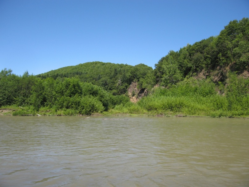 Иван Баянкин фотография #43