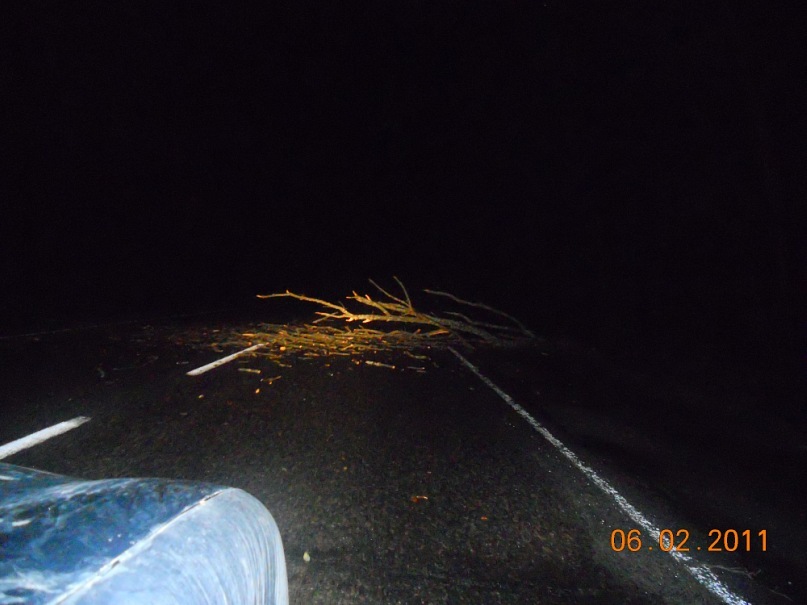 Виктор Гончар фотография #41