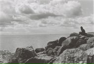 Фотография Кармаз Юлии