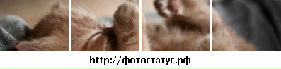 Андрій Самко фотография #25 (источник - https://vk.com/id161624220)