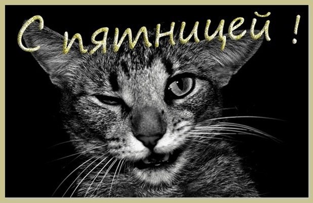 Дима Мартынюк фотография #19