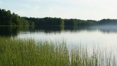 Фотография Алёхиной Анастасии