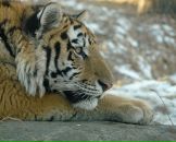 Фотография Ермолиной Анны