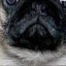 Сашка Пілюшенко фотография #45 (источник - https://vk.com/id84577810)