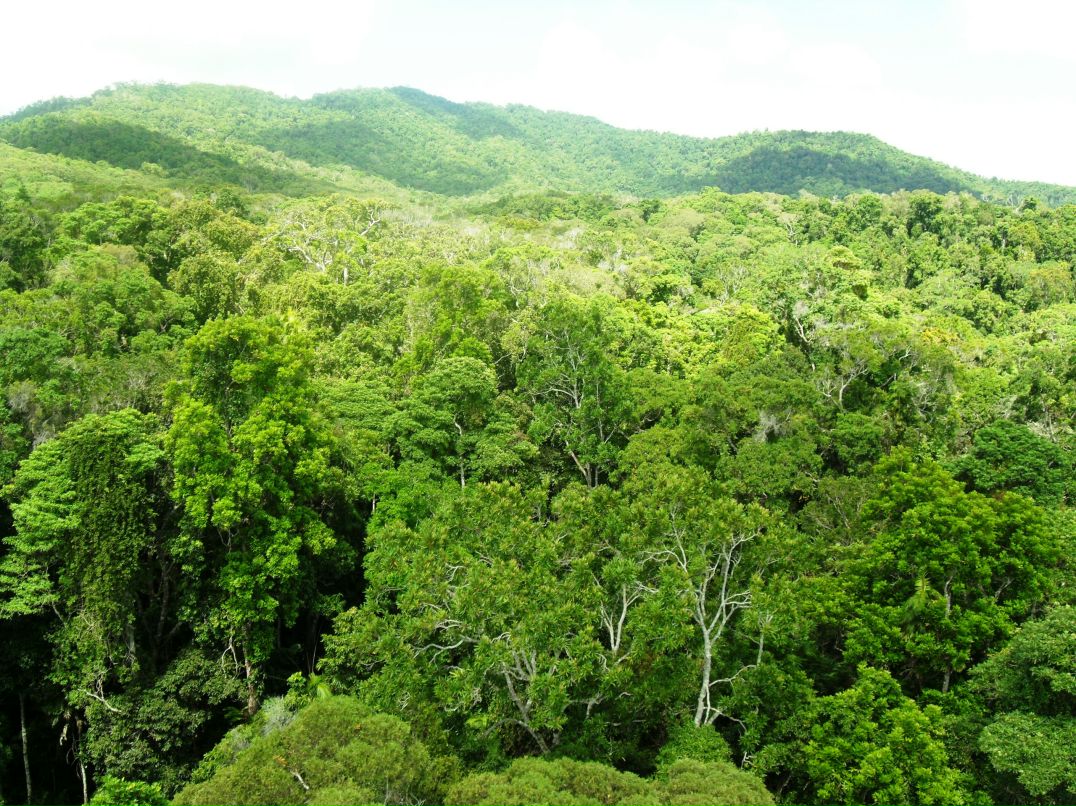 Дмитрий Венгерцев фотография #4