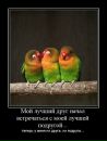 Олексій Іванчен фотография #18 (источник - https://vk.com/id74238157)