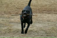 Вова Юрочкін фотография #22 (источник - https://vk.com/id15084244)