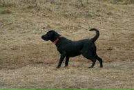 Вова Юрочкін фотография #36 (источник - https://vk.com/id15084244)