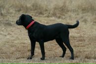 Вова Юрочкін фотография #14 (источник - https://vk.com/id15084244)