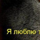 Діма Бричка фотография #19 (источник - https://vk.com/id137975523)