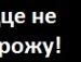 Аліночка Заблоцька фотография #30 (источник - https://vk.com/id153501016)