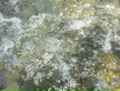 Иван Кузнецов фотография #12 (источник - https://vk.com/id98103)