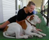 Марія Лисак фотография #23 (источник - https://vk.com/id46107436)