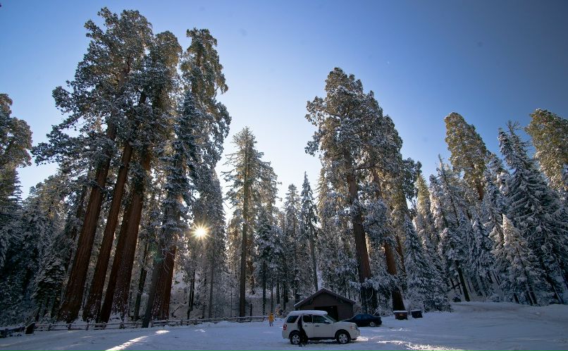 Игорь Свенцицкий фотография #39