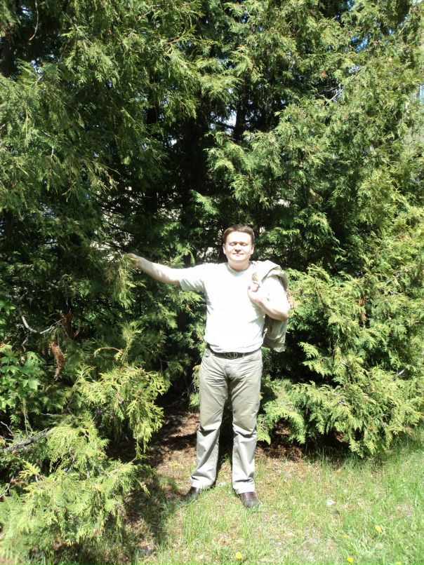 Дмитрий Рогов фотография #4