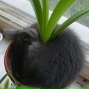 Фотография Курмаева Андрея