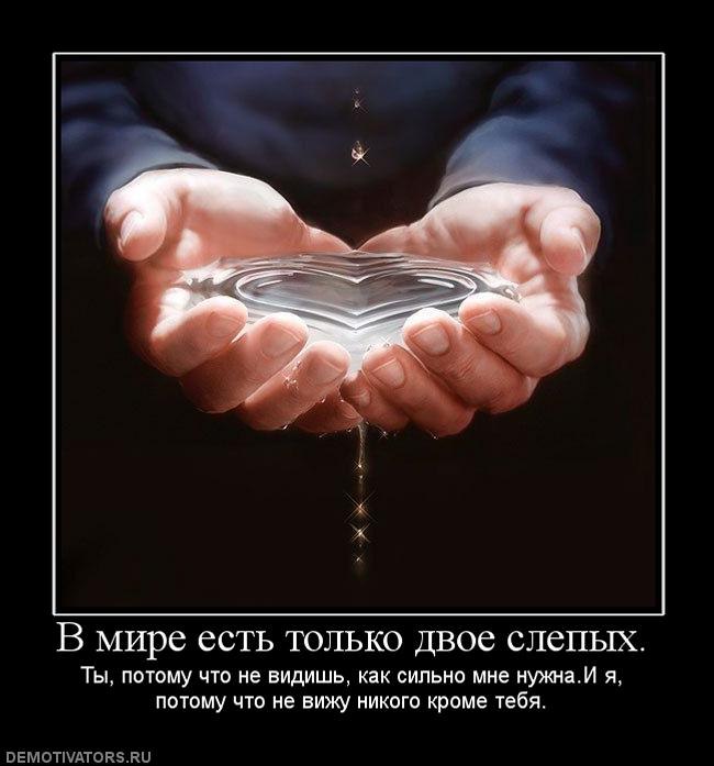 Андрей Михайлов фотография #32