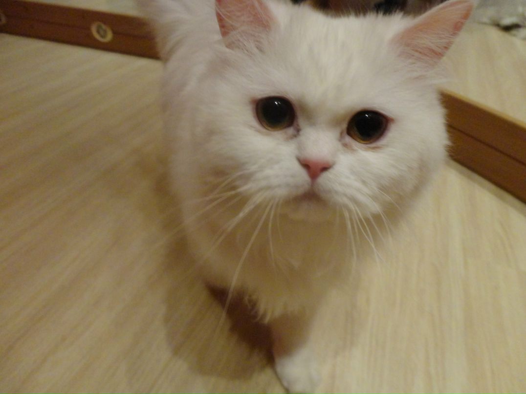 Мария Крайнова фотография #40