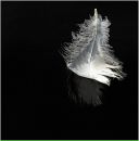 Наталія Арендацька фотография #25 (источник - https://vk.com/id20218705)