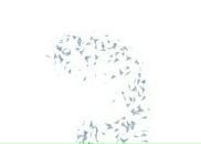 Фотография Алилуи Алика