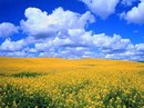Зробимо-Україну Чистою фотография #31 (источник - https://vk.com/id167493678)