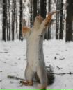 Андрій Сацків фотография #17 (источник - https://vk.com/id132649485)