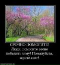 Фотография Ильясовой Зиниры