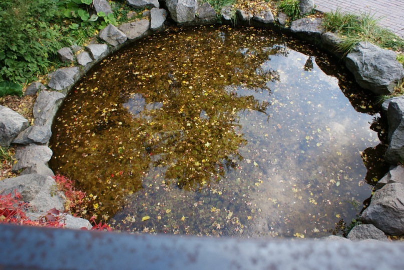 Софья Романенко фотография #50