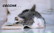 Фотография Столяров Николай