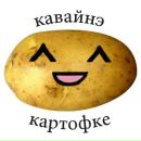 Фотография Ананьева Глеба