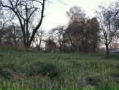 Рю Мураками фотография #28 (источник - https://vk.com/id2067589)