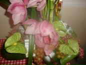 Peace Love фотография #33 (источник - https://vk.com/id2424407)