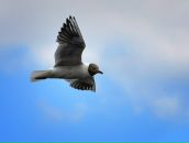 Фотография Соловьевой Анны