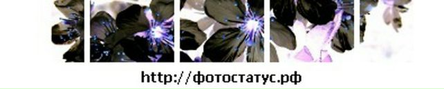 Соломія Паневник фотография #3 (источник - https://vk.com/id85956395)