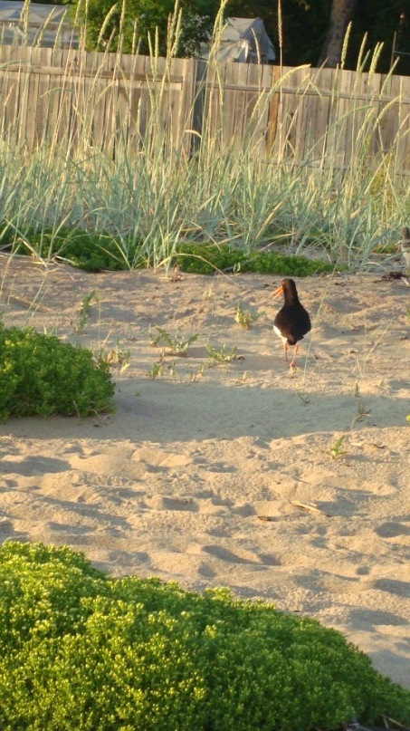 Александр Табаков фотография #42