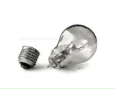 Фотография Зайцева Антошки