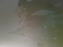 Сєрога Собко фотография #29 (источник - https://vk.com/id152711579)
