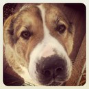 Фотография Грабовской Юлии