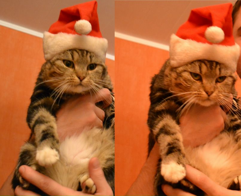 Sp Art фотография #16