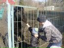 Андрій Борисюк фотография #23 (источник - https://vk.com/id132496869)