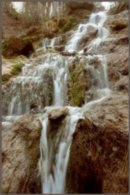 Plusha Кислая фотография #20 (источник - https://vk.com/id3554272)